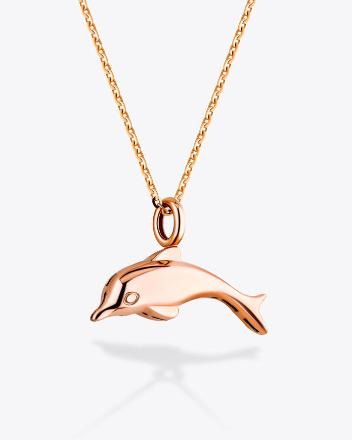 تصویر  Dan Dolphin necklace| گردنبند دن