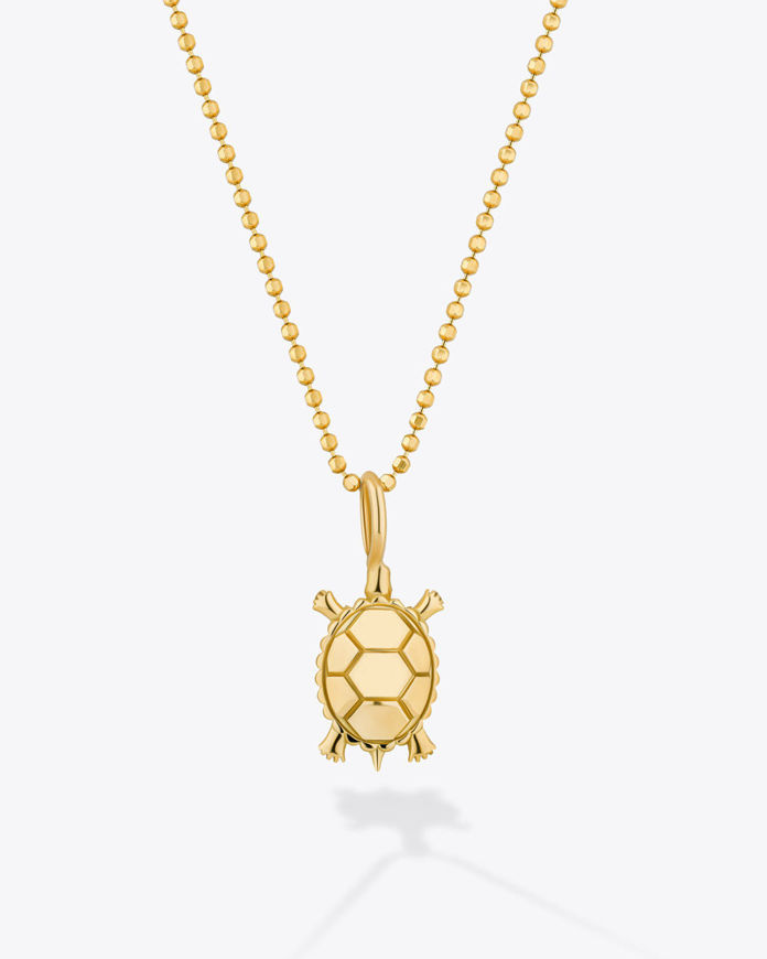 تصویر  Dan Turtle Necklace | گردنبند دن
