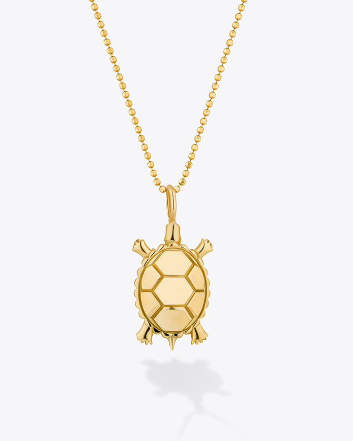 تصویر  Dan Turtle Necklace |گردنبند دن